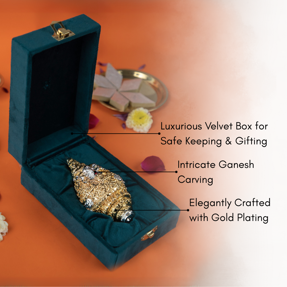 Golden Shankh with Velvet Box – Auspicious Conch Shell for Pooja, Vastu & Diwali Gifting