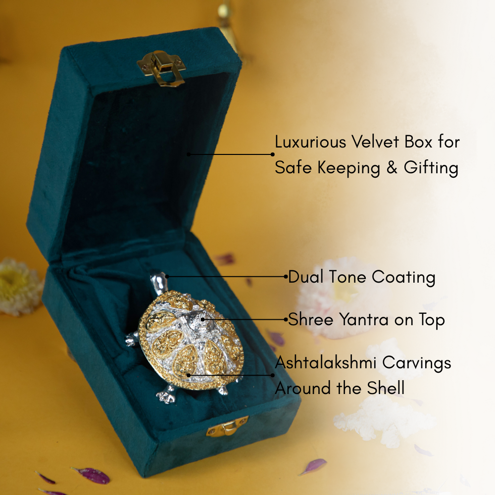 Vastu Turtle with Silver & Gold Plating – Decorative Showpiece with Velvet Box for Home & Office