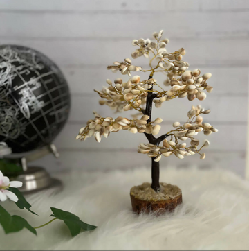 Gomti Chakra Tree (Pack of 5/10/20)