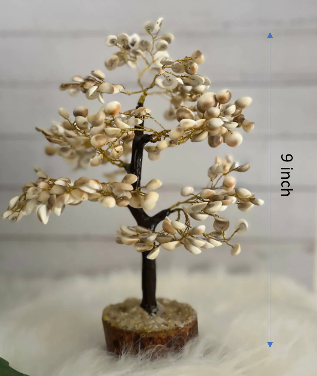 Gomti Chakra Tree (Pack of 5/10/20)